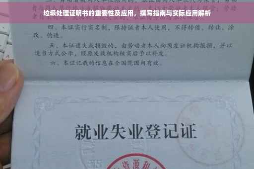 垃圾处理证明书的重要性及应用，撰写指南与实际应用解析