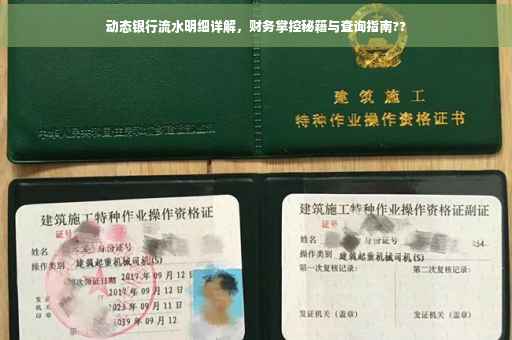 动态银行流水明细详解，财务掌控秘籍与查询指南??