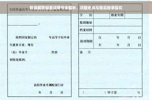 乾县解除隔离证明书全解析，获取地点与背后故事探究