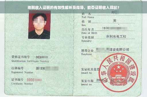 地税收入证明的有效性解析及指导，能否证明收入现状？