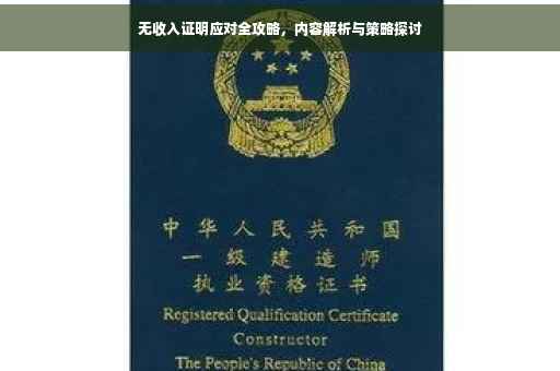 无收入证明应对全攻略，内容解析与策略探讨