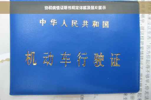协和病情证明书规定详解及图片展示