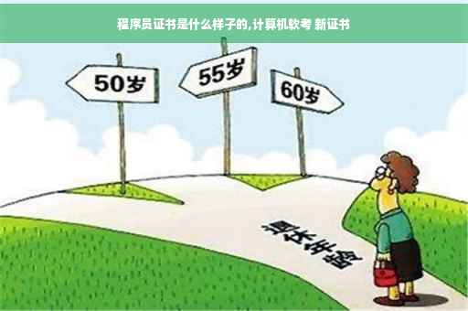 程序员证书是什么样子的,计算机软考 新证书