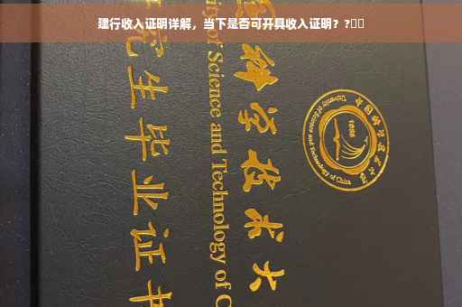 建行收入证明详解，当下是否可开具收入证明？?⚡️