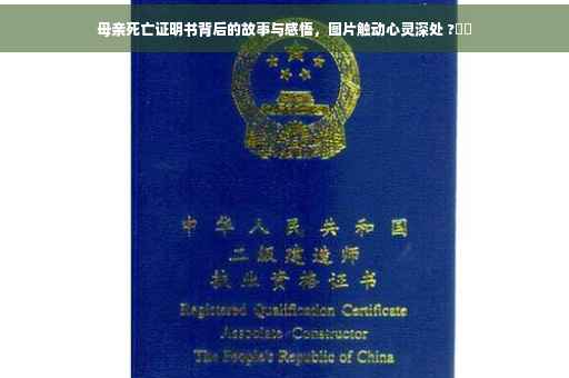 母亲死亡证明书背后的故事与感悟，图片触动心灵深处 ?⚡️