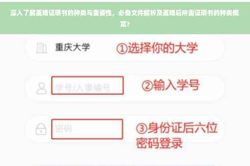 深入了解离婚证明书的种类与重要性，必备文件解析及离婚后所需证明书的种类概览?