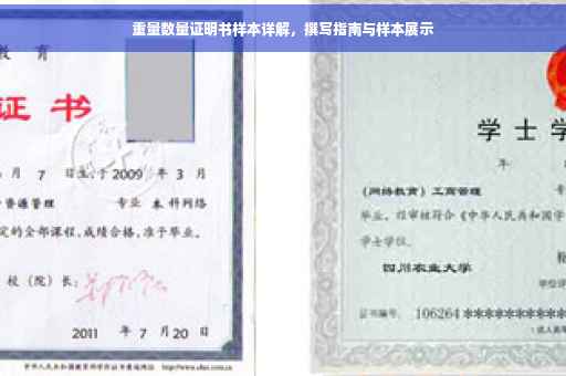 重量数量证明书样本详解，撰写指南与样本展示