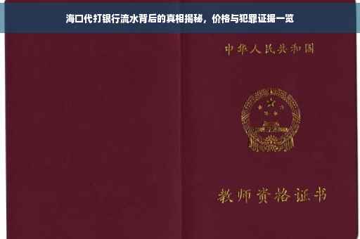 海口代打银行流水背后的真相揭秘，价格与犯罪证据一览