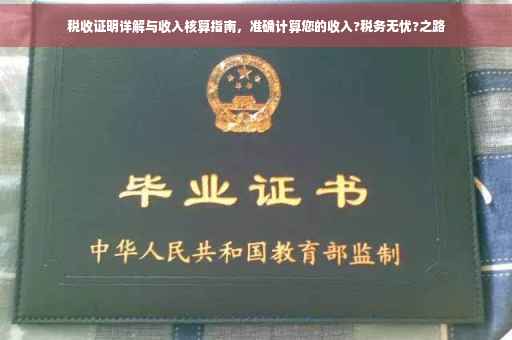税收证明详解与收入核算指南，准确计算您的收入?税务无忧?之路