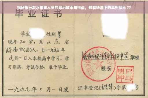 揭秘银行流水销售人员的幕后故事与挑战，招聘热潮下的真相探索 ??