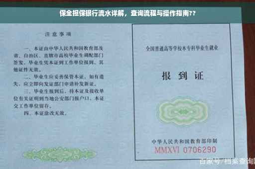 保全担保银行流水详解，查询流程与操作指南??