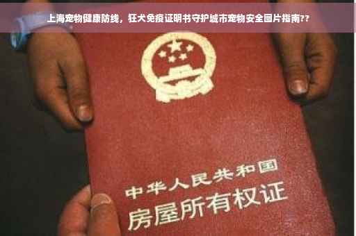 上海宠物健康防线，狂犬免疫证明书守护城市宠物安全图片指南??