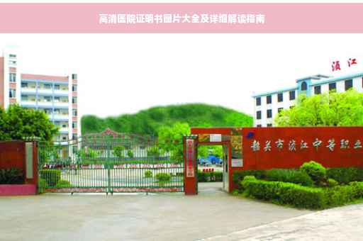 高清医院证明书图片大全及详细解读指南