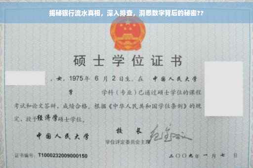 揭秘银行流水真相，深入排查，洞悉数字背后的秘密??