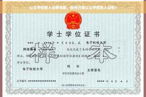 公立学校收入证明详解，如何开具公立学校收入证明？
