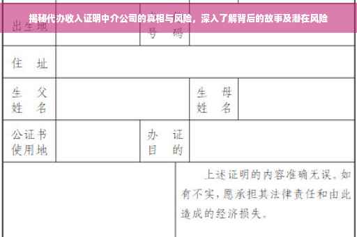 揭秘代办收入证明中介公司的真相与风险，深入了解背后的故事及潜在风险