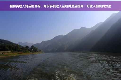 揭秘高收入背后的真相，如何开具收入证明并适当提高一万收入额度的方法