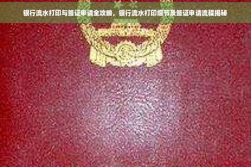 银行流水打印与签证申请全攻略，银行流水打印细节及签证申请流程揭秘
