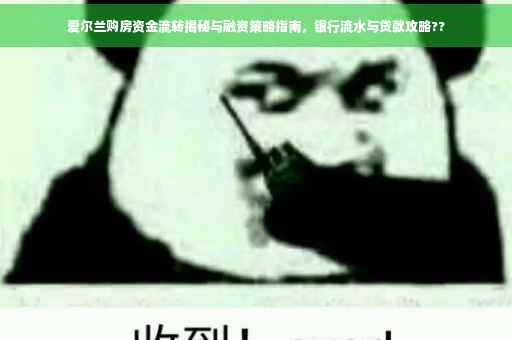 爱尔兰购房资金流转揭秘与融资策略指南，银行流水与贷款攻略??