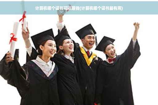 计算机哪个证书可以赚钱(计算机哪个证书最有用)
