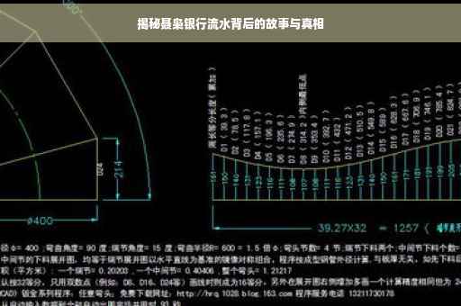 揭秘聂枭银行流水背后的故事与真相