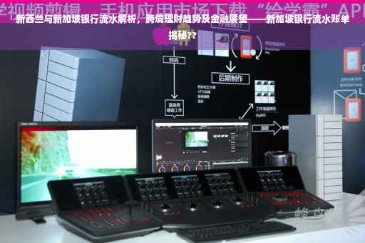 新西兰与新加坡银行流水解析，跨境理财趋势及金融展望——新加坡银行流水账单揭秘??