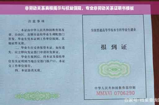 非劳动关系真相揭示与权益保障，专业非劳动关系证明书模板