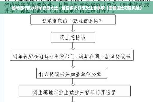 揭秘银行流水账单获取方法，能否多次打印及注意事项（警惕违法犯罪风险）