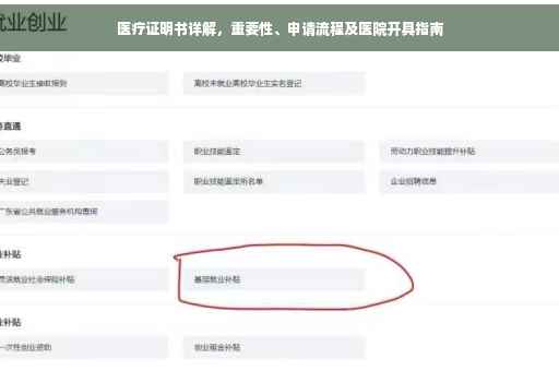 医疗证明书详解，重要性、申请流程及医院开具指南