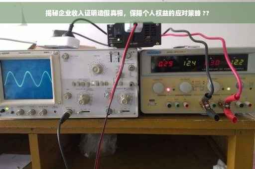 揭秘企业收入证明造假真相，保障个人权益的应对策略 ??