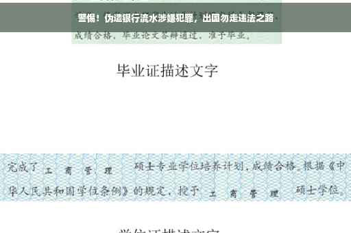 警惕！伪造银行流水涉嫌犯罪，出国勿走违法之路