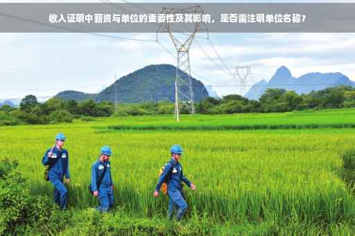 收入证明中薪资与单位的重要性及其影响，是否需注明单位名称？