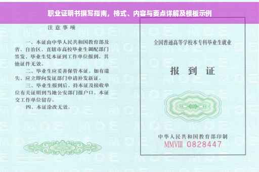 职业证明书撰写指南，格式、内容与要点详解及模板示例