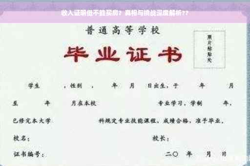 收入证明低不能买房？真相与挑战深度解析??