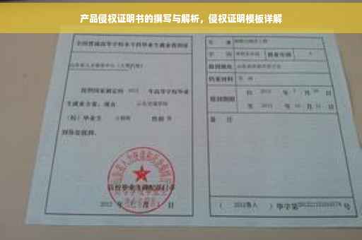产品侵权证明书的撰写与解析，侵权证明模板详解