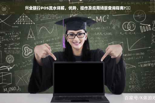 兴业银行POS流水详解，优势、操作及应用场景查询指南?⚡️