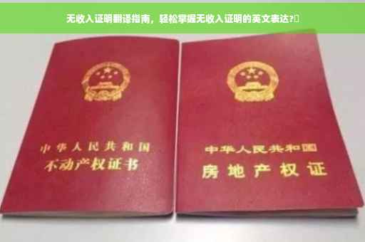 无收入证明翻译指南，轻松掌握无收入证明的英文表达?⚡