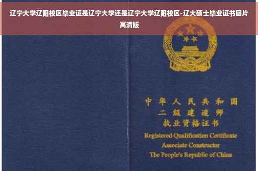 辽宁大学辽阳校区毕业证是辽宁大学还是辽宁大学辽阳校区-辽大硕士毕业证书图片高清版