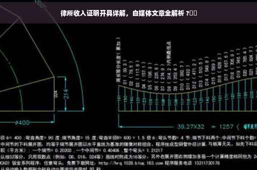 律所收入证明开具详解，自媒体文章全解析 ?⚡️