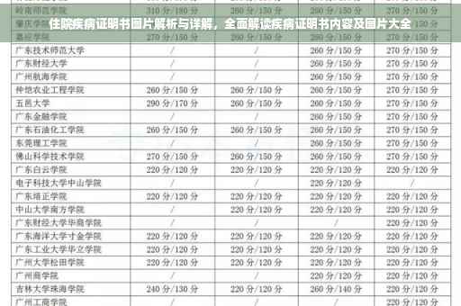 住院疾病证明书图片解析与详解，全面解读疾病证明书内容及图片大全