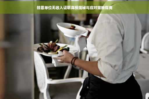 挂靠单位无收入证明真相揭秘与应对策略指南