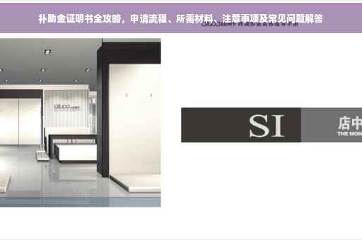 补助金证明书全攻略，申请流程、所需材料、注意事项及常见问题解答