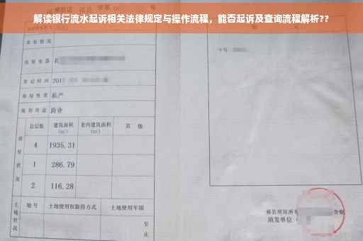 解读银行流水起诉相关法律规定与操作流程，能否起诉及查询流程解析??