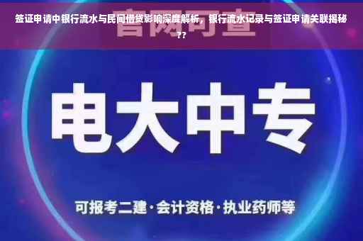 签证申请中银行流水与民间借贷影响深度解析，银行流水记录与签证申请关联揭秘??