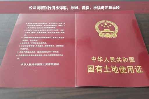 公司调取银行流水详解，原因、流程、手续与注意事项
