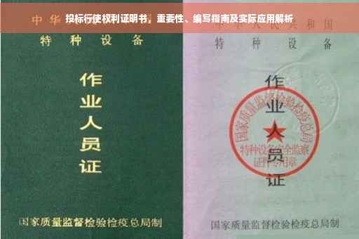 投标行使权利证明书，重要性、编写指南及实际应用解析
