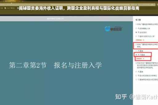 揭秘国资委海外收入证明，跨国企业盈利真相与国际化战略洞察指南