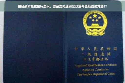 揭秘政府单位银行流水，资金流向透明度双重考量及查询方法??