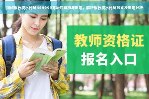 揭秘银行流水代码449999背后的真相与影响，解析银行流水代码含义及影响分析