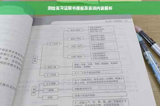 测绘实习证明书模板及实训内容解析